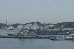 Dcim1713/DSC_1306