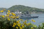 Dcim1713/DSC_1321
