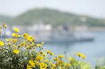 Dcim1713/DSC_1322