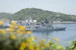 Dcim1713/DSC_1323