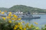 Dcim1713/DSC_1325