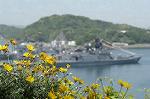 Dcim1713/DSC_1328