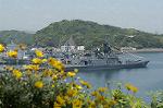 Dcim1713/DSC_1329