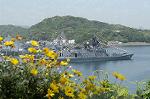 Dcim1713/DSC_1331