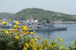 Dcim1713/DSC_1333