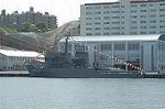 Dcim1713/DSC_1393