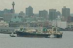 Dcim1728/DSC_7403