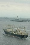 Dcim1728/DSC_7448