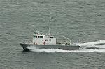 Dcim1729/DSC_7503