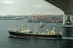 Dcim1730/DSC_1769