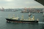 Dcim1730/DSC_1770
