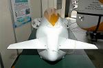 Dcim1731/DSC_7636