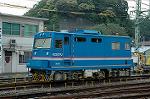Dcim1735/DSC_8131