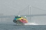 Dcim1741/DSC_8594