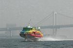 Dcim1741/DSC_8595