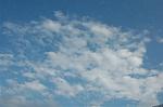 Dcim1743/DSC_8755
