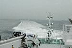 Dcim1754/DSC_9140