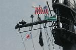 Dcim1764/DSC_9939