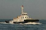Dcim1766/DSC_0174