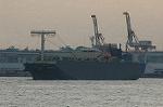 Dcim1766/DSC_0196