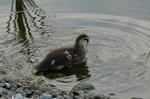 Dcim1766/DSC_0222