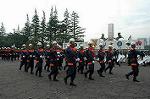 Dcim1767/DSC_0253