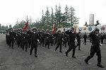 Dcim1767/DSC_0337
