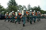 Dcim1768/DSC_0375