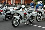 Dcim1769/DSC_0492