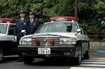Dcim1769/DSC_0549