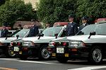 Dcim1769/DSC_0551