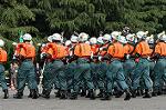 Dcim1773/DSC_2991