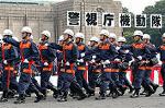 Dcim1773/DSC_2995