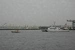Dcim1821/DSC_4428