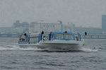 Dcim1822/DSC_4781