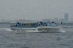 Dcim1822/DSC_4782