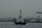 Dcim1823/DSC_4937