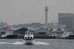 Dcim1824/DSC_5064