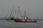 Dcim1825/DSC_5189