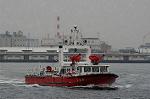 Dcim1825/DSC_5205