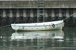 Dcim1836/DSC_5221