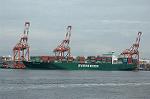 Dcim1838/DSC_5770