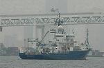 Dcim1843/DSC_5944