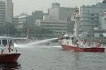 Dcim1873/DSC_7977
