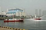 Dcim1874/DSC_8050
