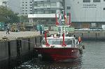 Dcim1875/DSC_8212