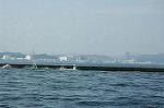 Dcim1880/DSC_8602