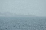 Dcim1882/DSC_8867