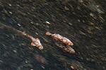 Dcim1884/DSC_6473