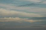 Dcim1903/DSC_0150